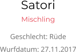 Satori Mischling Geschlecht: Rüde Wurfdatum: 27.11.2017