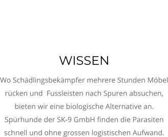 Bettwanzen, AUsbildung